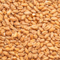 BEST Heidelberg Wheat 2.5-3.5 EBC/ 1.4-1.8 Lovibond - BESTMALZ 