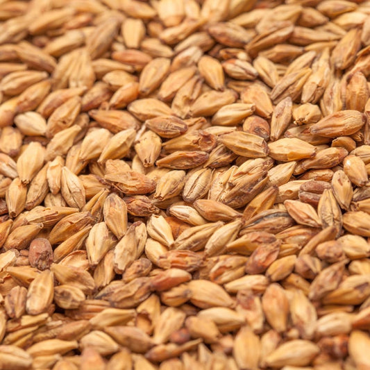 BEST Caramel Munich II Malt 110-130 EBC/ 42-49 Lovibond - BESTMALZ