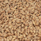 Château Peated Malt max. 4 EBC/ max. 2.1 Lovibond - Castle Malting 