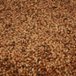 Château Special B Malt 260-320 EBC/ 98.1-120.6 Lovibond - Castle Malting