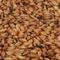 Château Special B Malt 260-320 EBC/ 98.1-120.6 Lovibond - Castle Malting