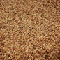 Château Arome Malt 95-105 EBC/ 36.2-39.9 Lovibond - Castle Malting 