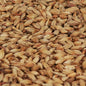 Château Arome Malt 95-105 EBC/ 36.2-39.9 Lovibond - Castle Malting 