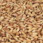 Château Melano Light Malt 36-44 EBC/ 14.1-17.1 Lovibond - Castle Malting 